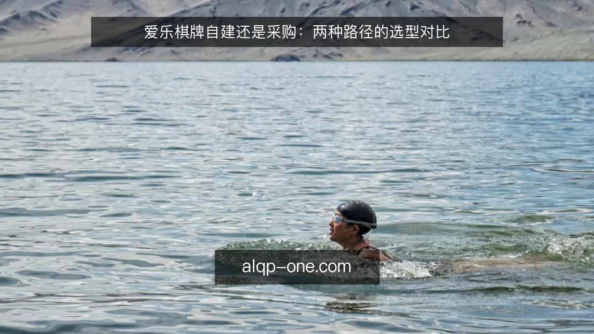 爱乐棋牌自建还是采购：两种路径的选型对比